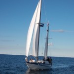 Zlot Prochno i Rdza 11