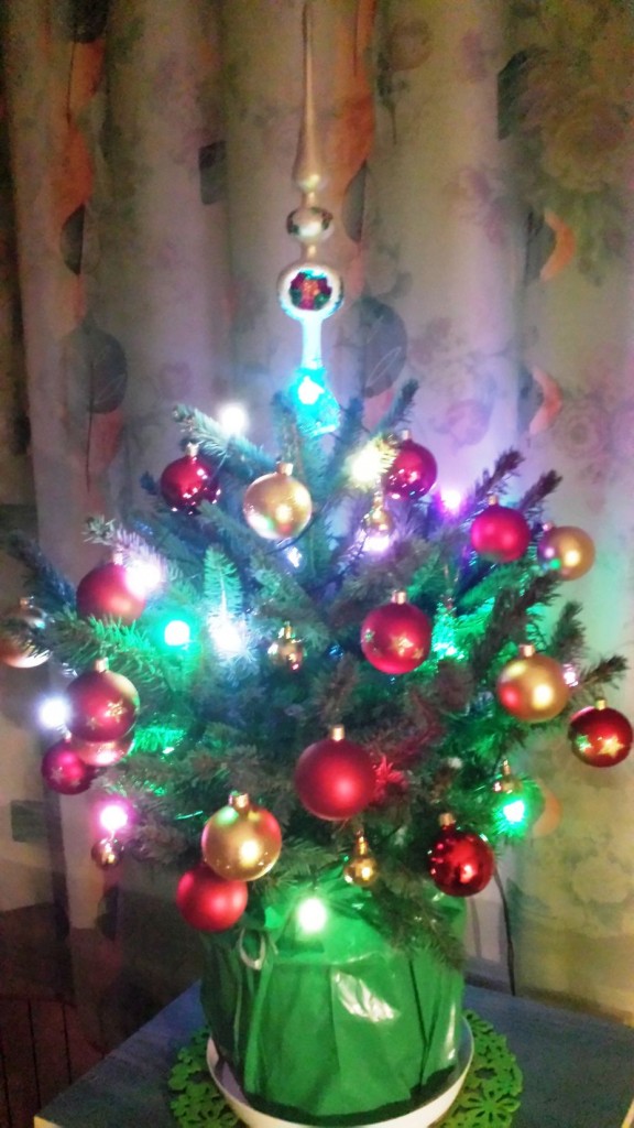 kacik literacki grudzien 15 WJ 21