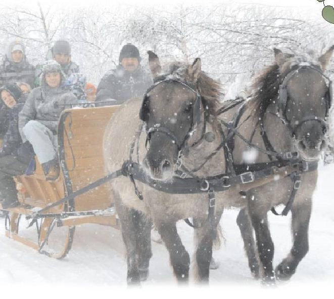 KULIG 2-page-001-1 c