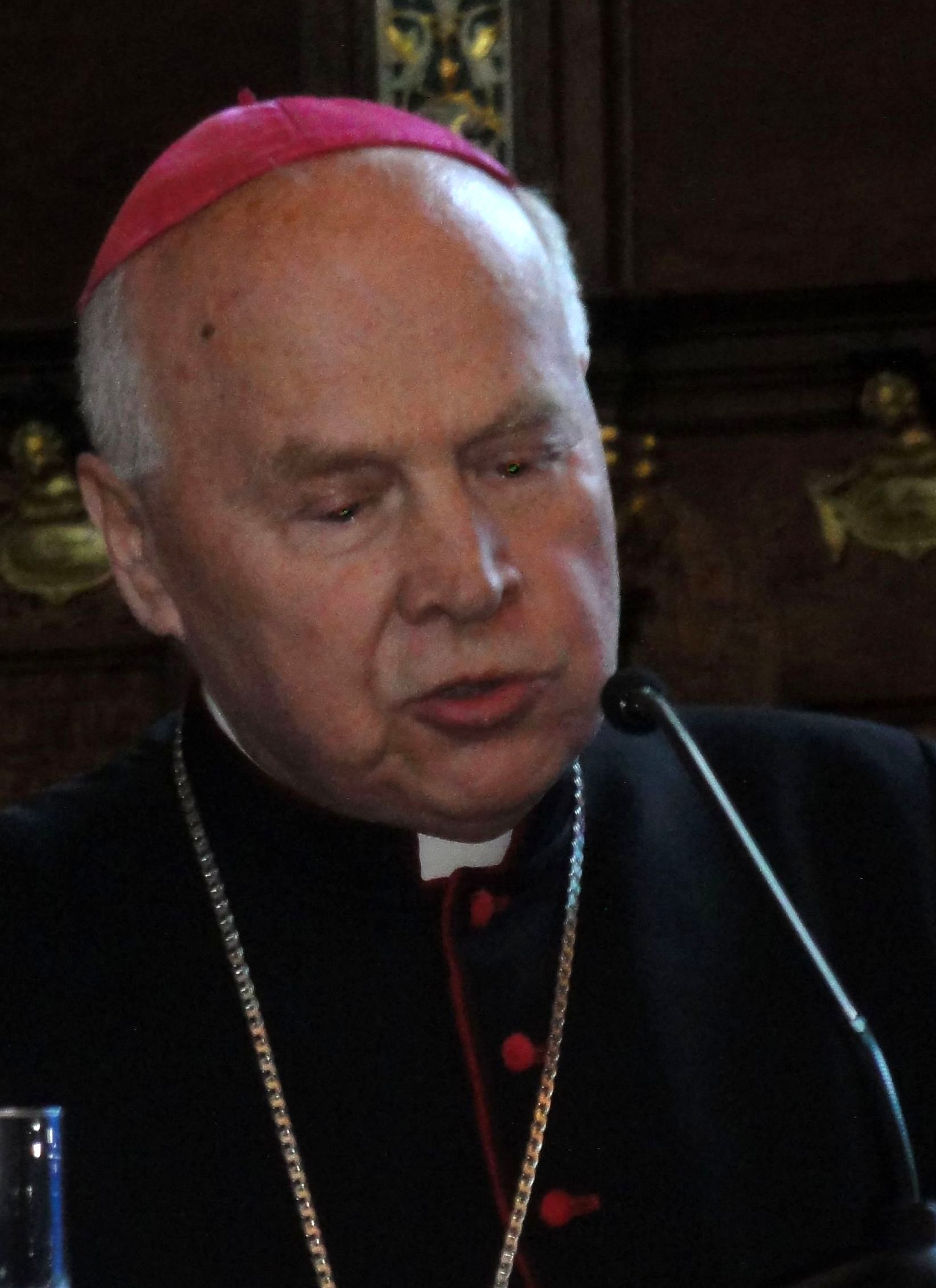 goclowski Ś. P. Ks. Arcybiskup Tadeusz Gocłowski 21.VI.2010 r.- fot. Januszajtis