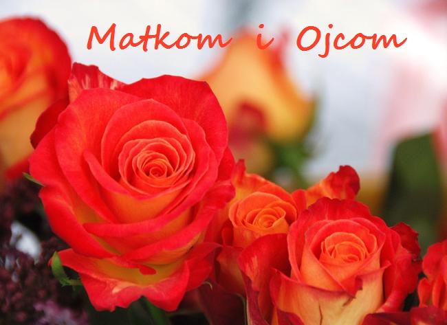 Kolo literackie 8_06 1