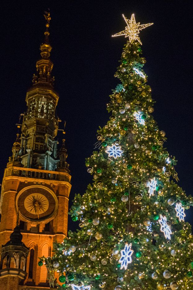 Gdańska choinka i świąteczne lampki