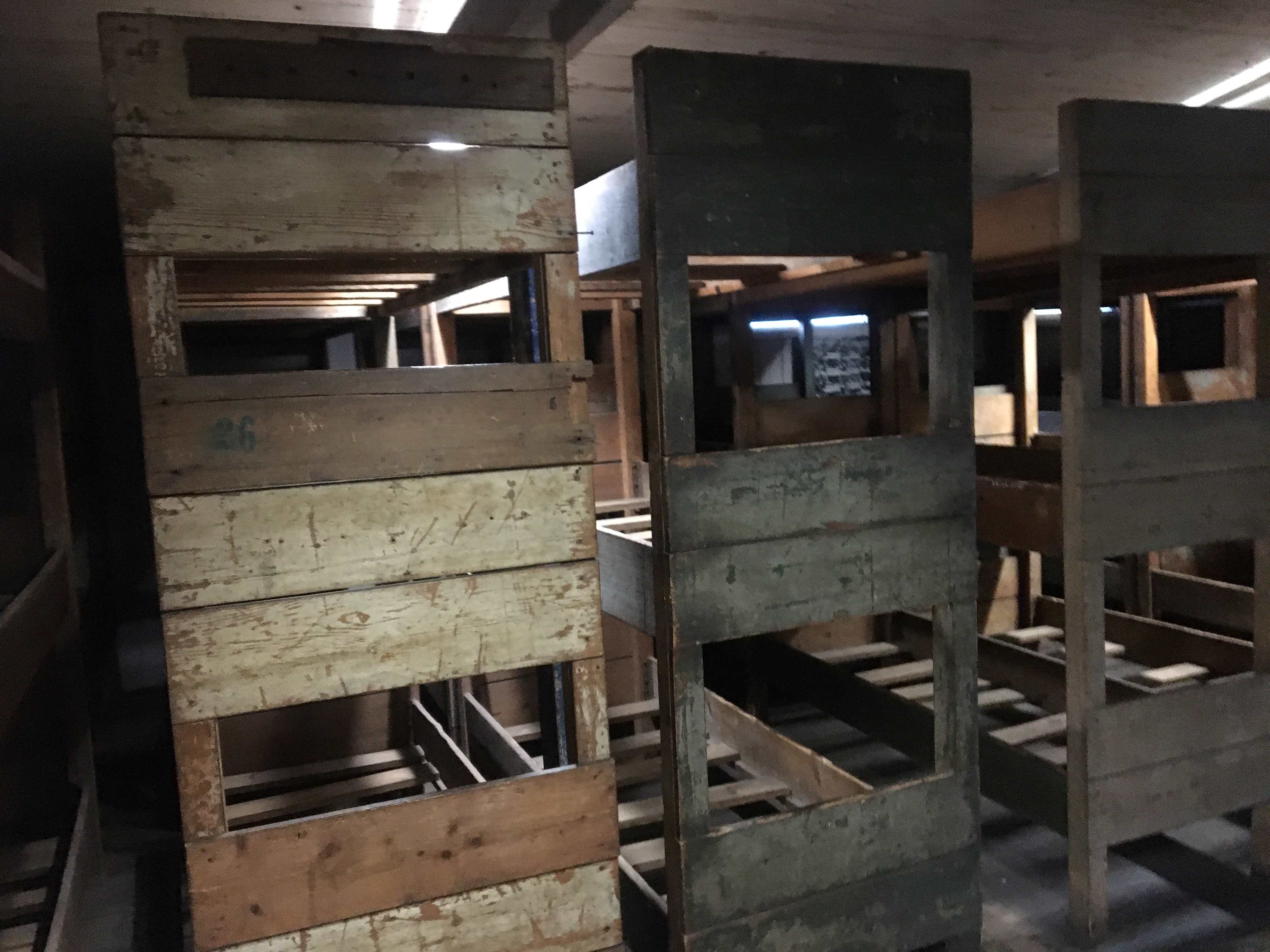 SNG Wycieczka na Mierzeję Fot_Janusz Wikowski IMG_9585