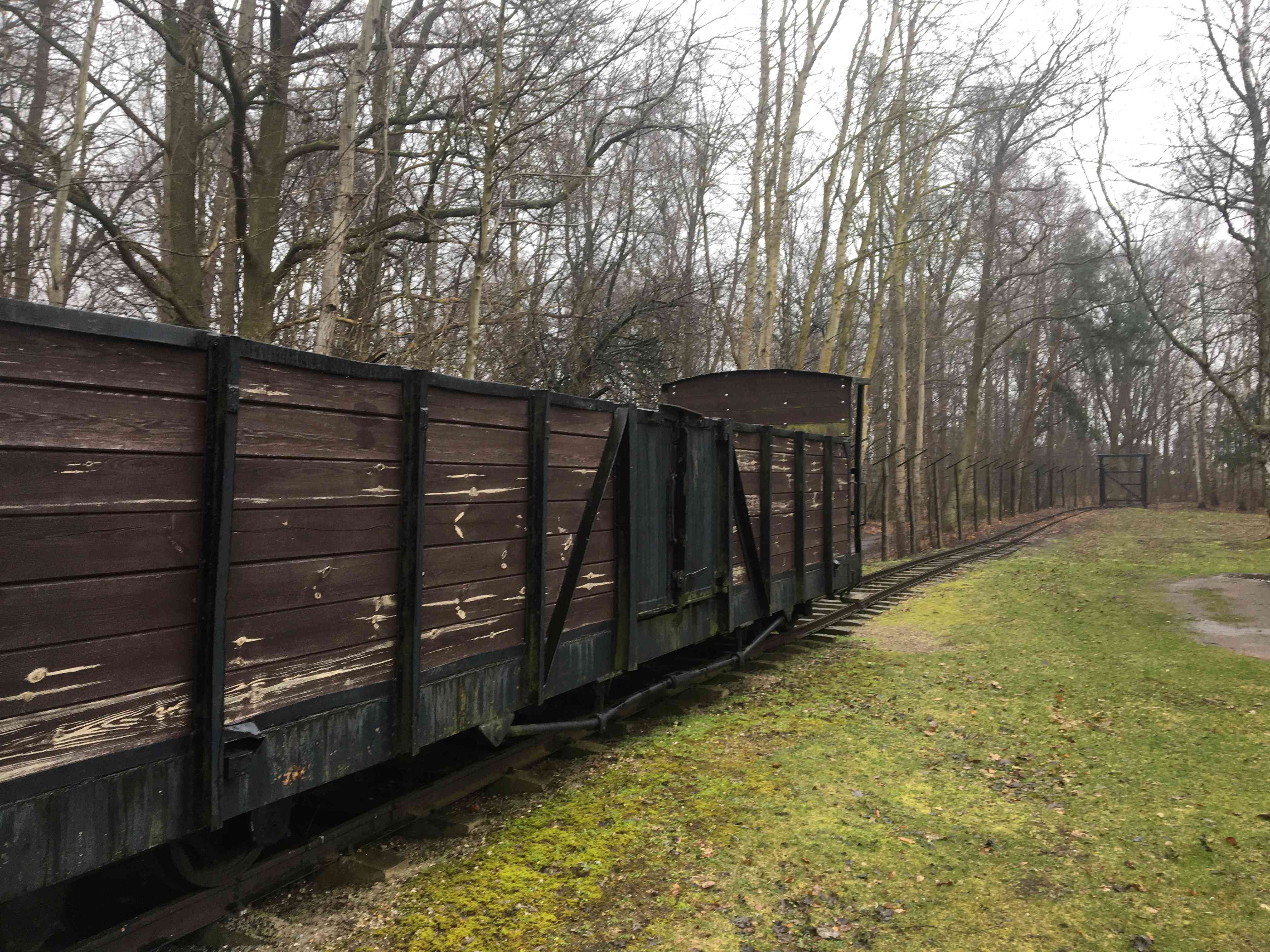 SNG Wycieczka na Mierzeję Fot_Janusz Wikowski IMG_9617