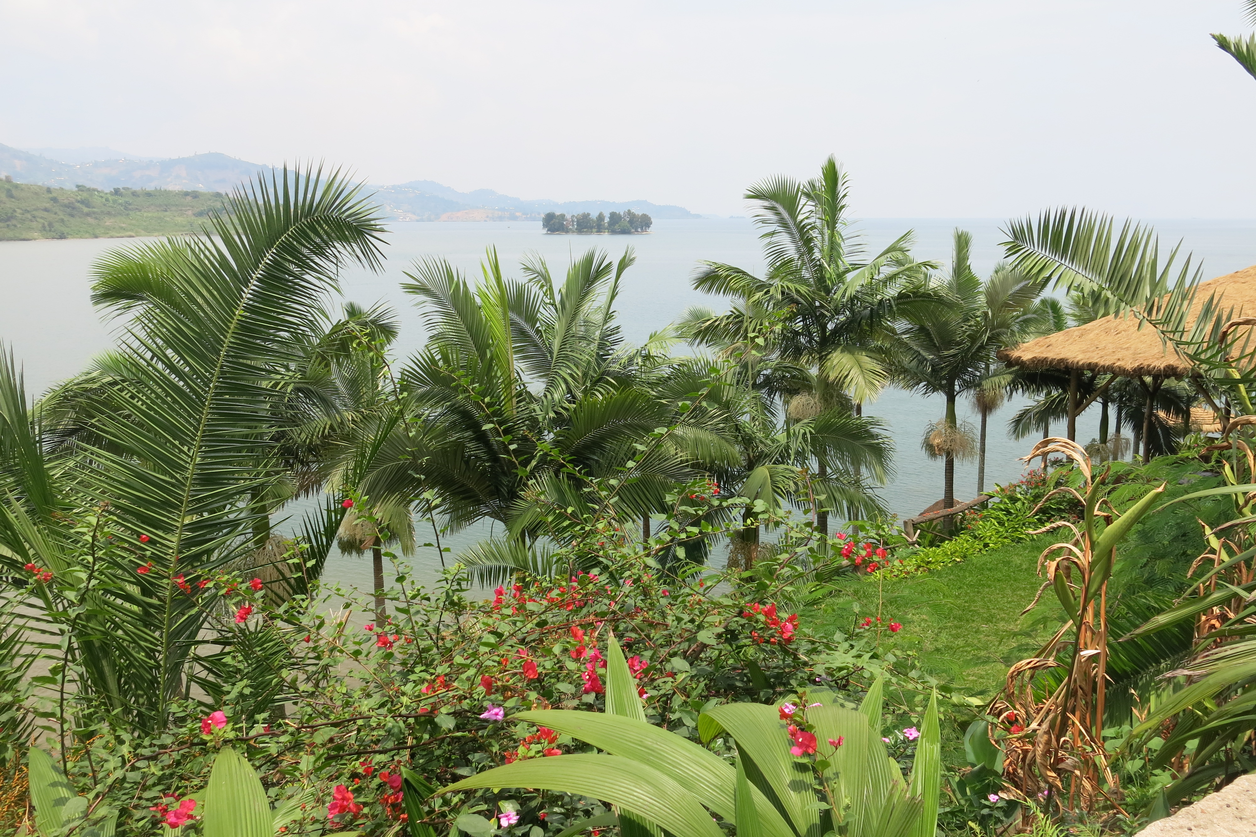 Podroze Maria Giedz Rwanda. Bajkowy świat nad jeziorem Kivu