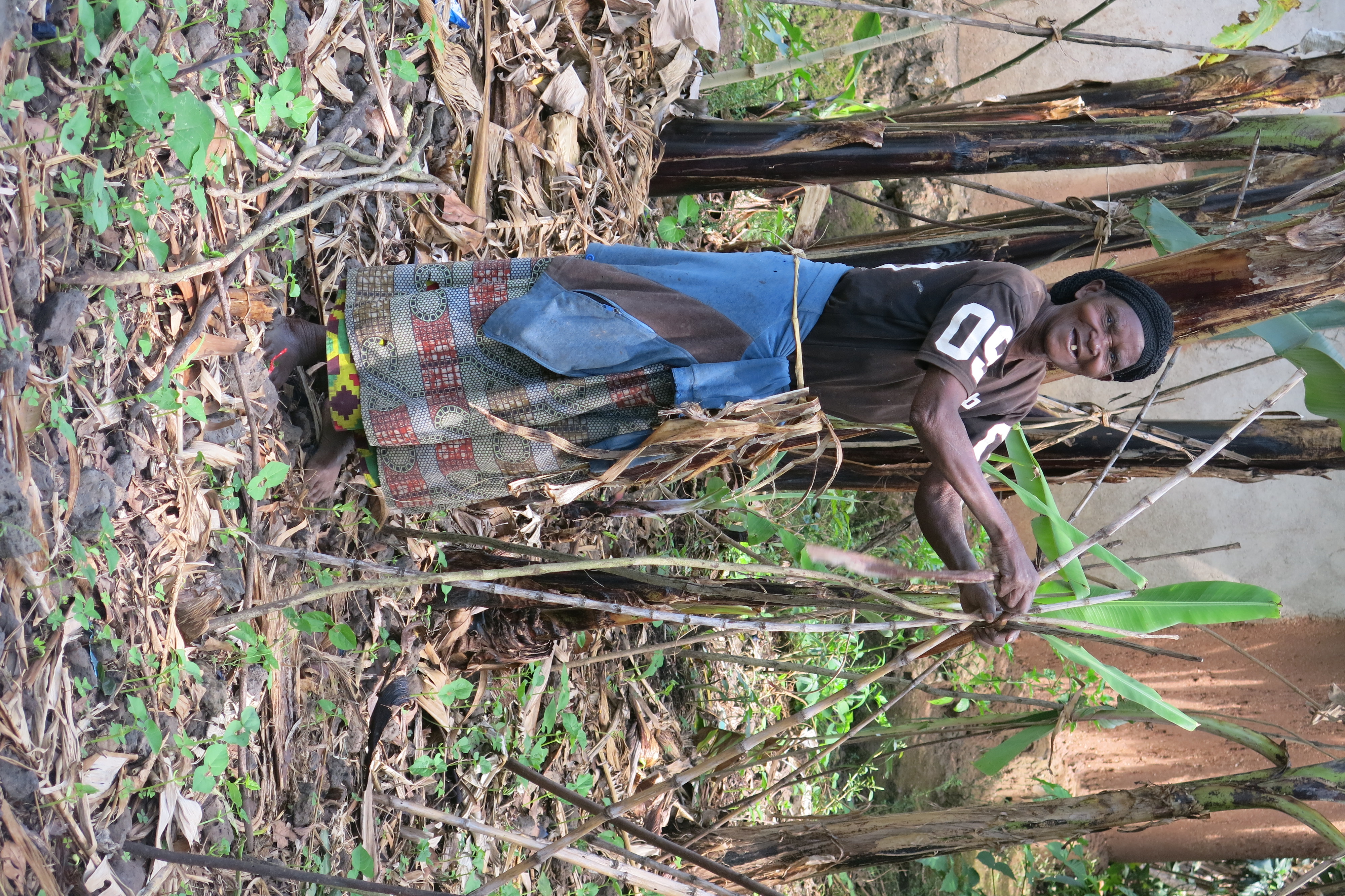 Podroze Maria Giedz Rwanda. Między bananowcami sieje się fasolę, która rosnąc wspiera się na bambusowych żerdziach