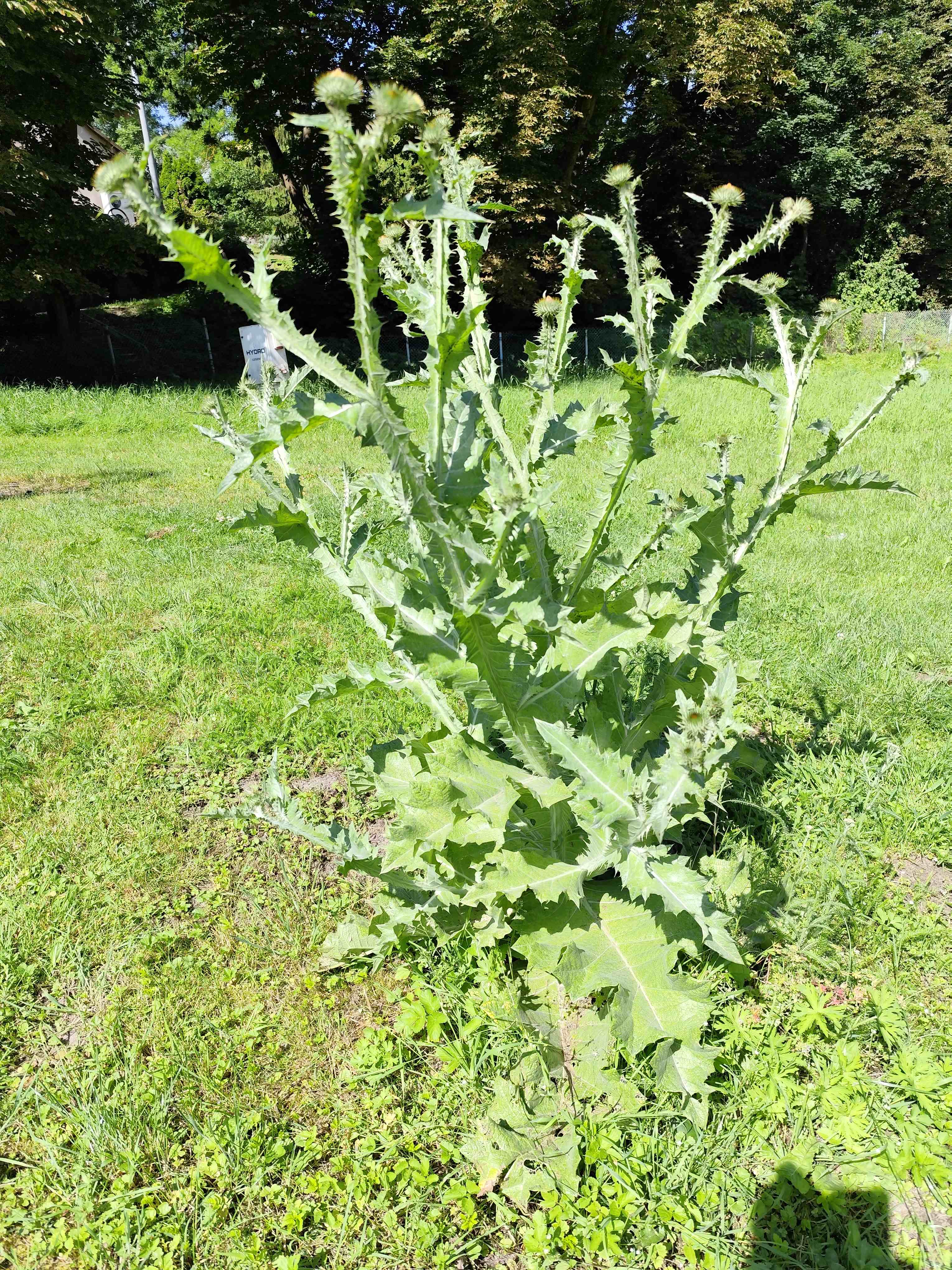 WYCIECZKA SNG Fot. Janusz Wikowski IMG_20250626_103548