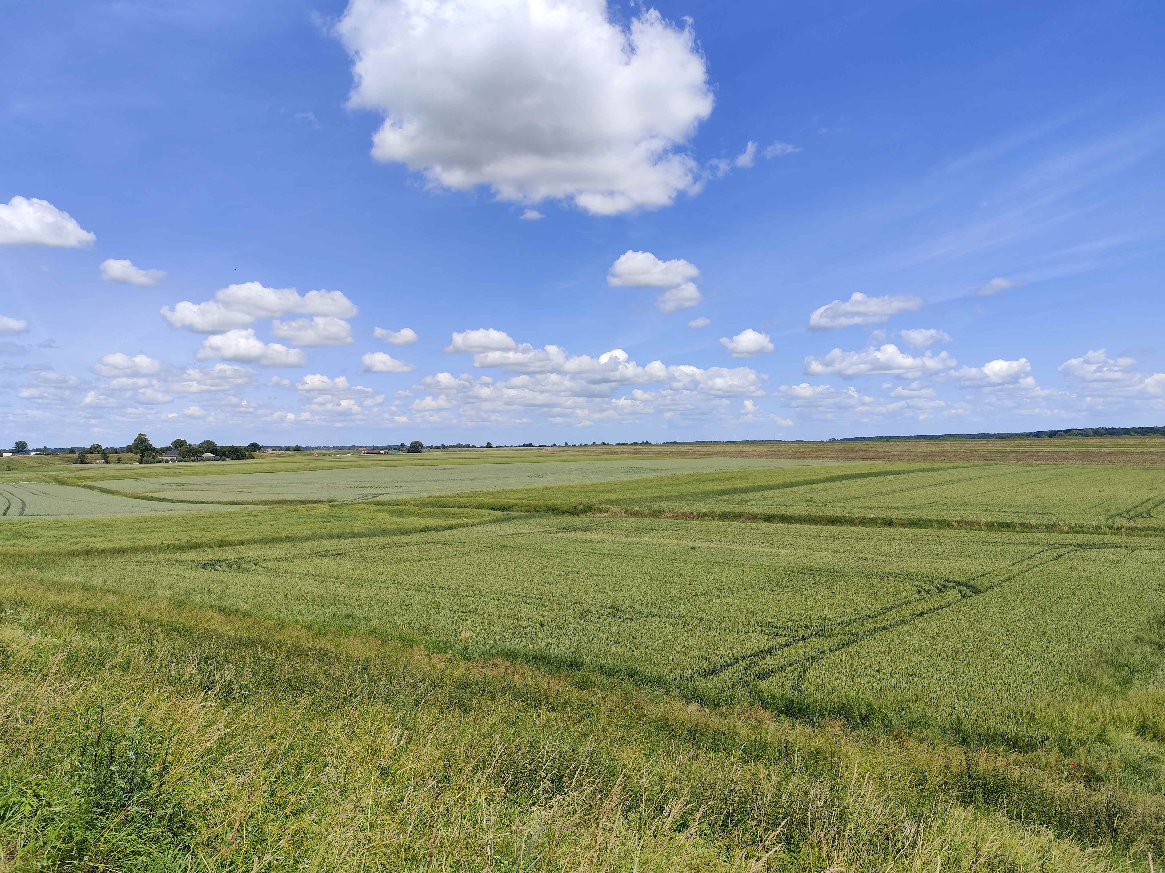 WYCIECZKA SNG Fot. Janusz Wikowski IMG_20250626_122215