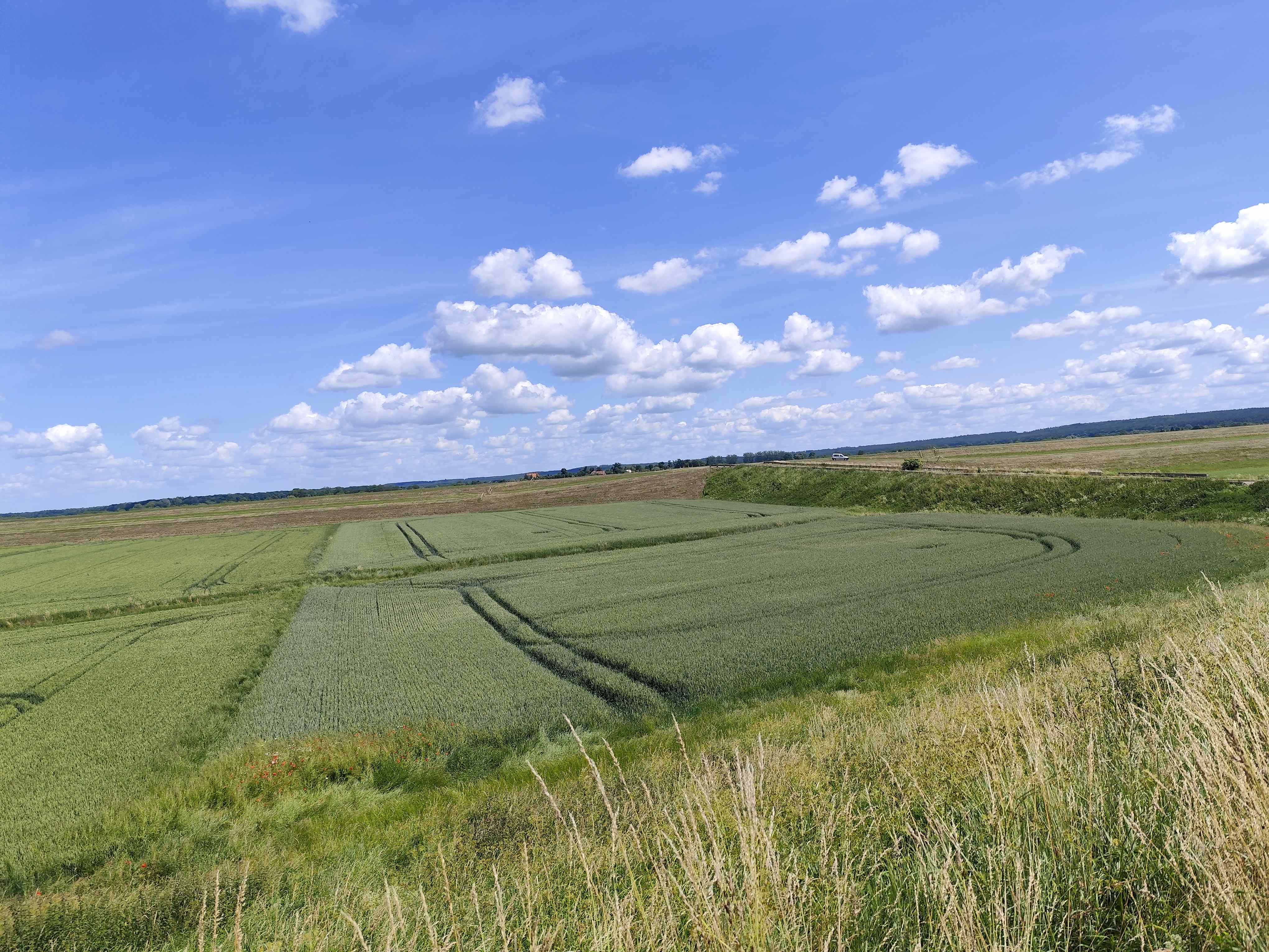 WYCIECZKA SNG Fot. Janusz Wikowski IMG_20250626_122217