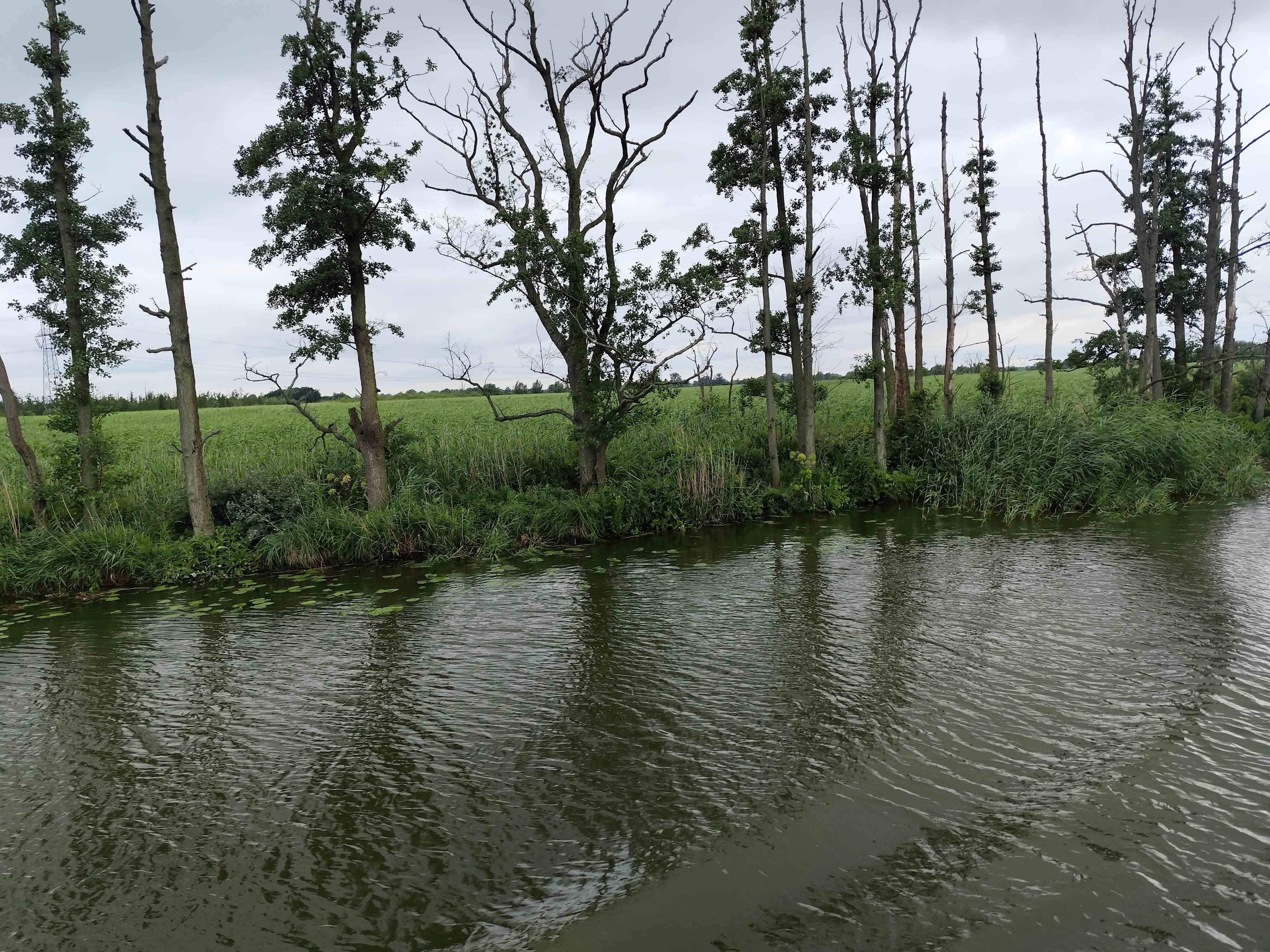 Wycieczka SNG KANAŁ ELBLASKI - REZERWAT Fot. Janusz Wikowski IMG_20250712_092316