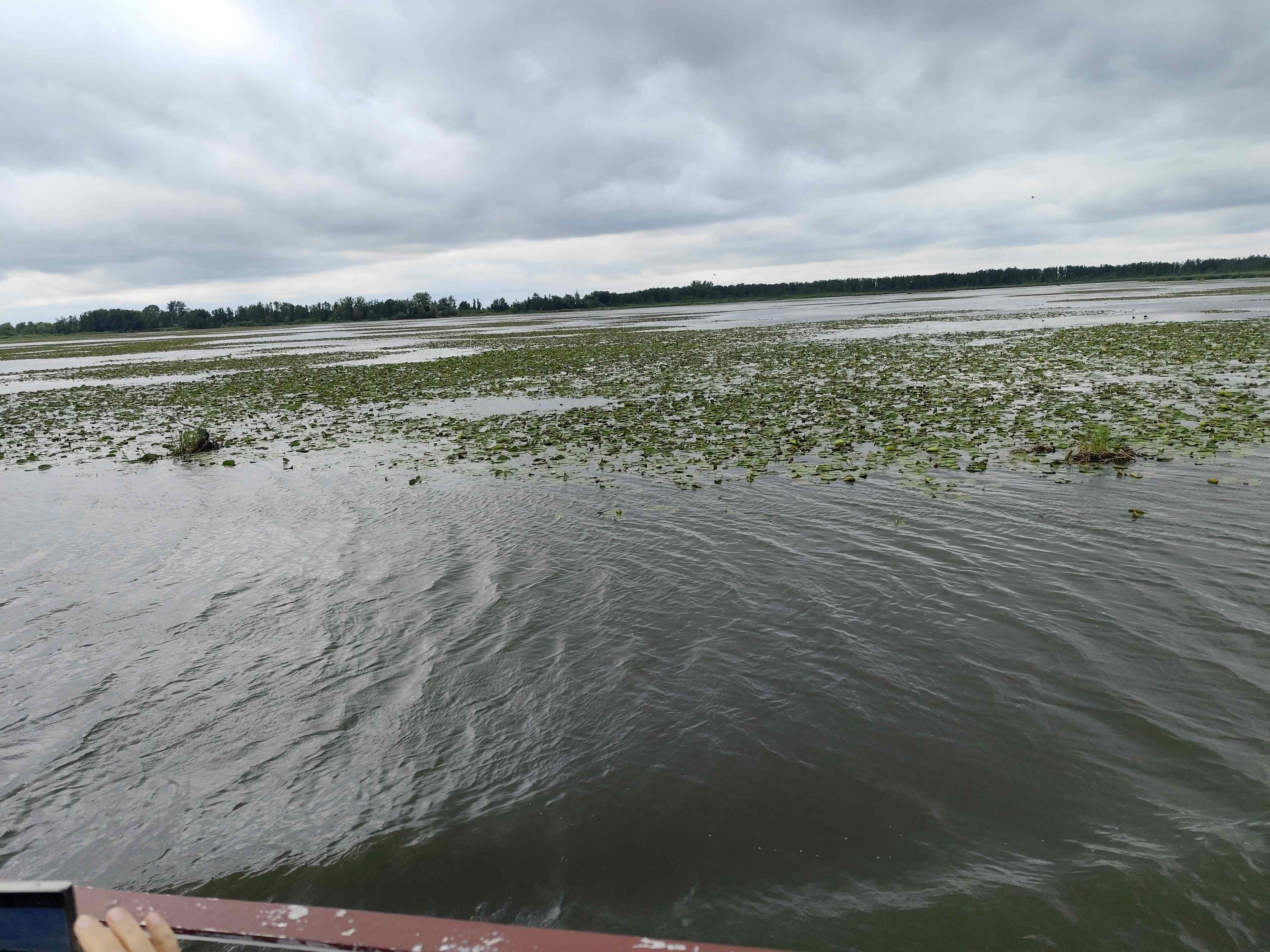 Wycieczka SNG KANAŁ ELBLASKI - REZERWAT Fot. Janusz Wikowski IMG_20250712_093914