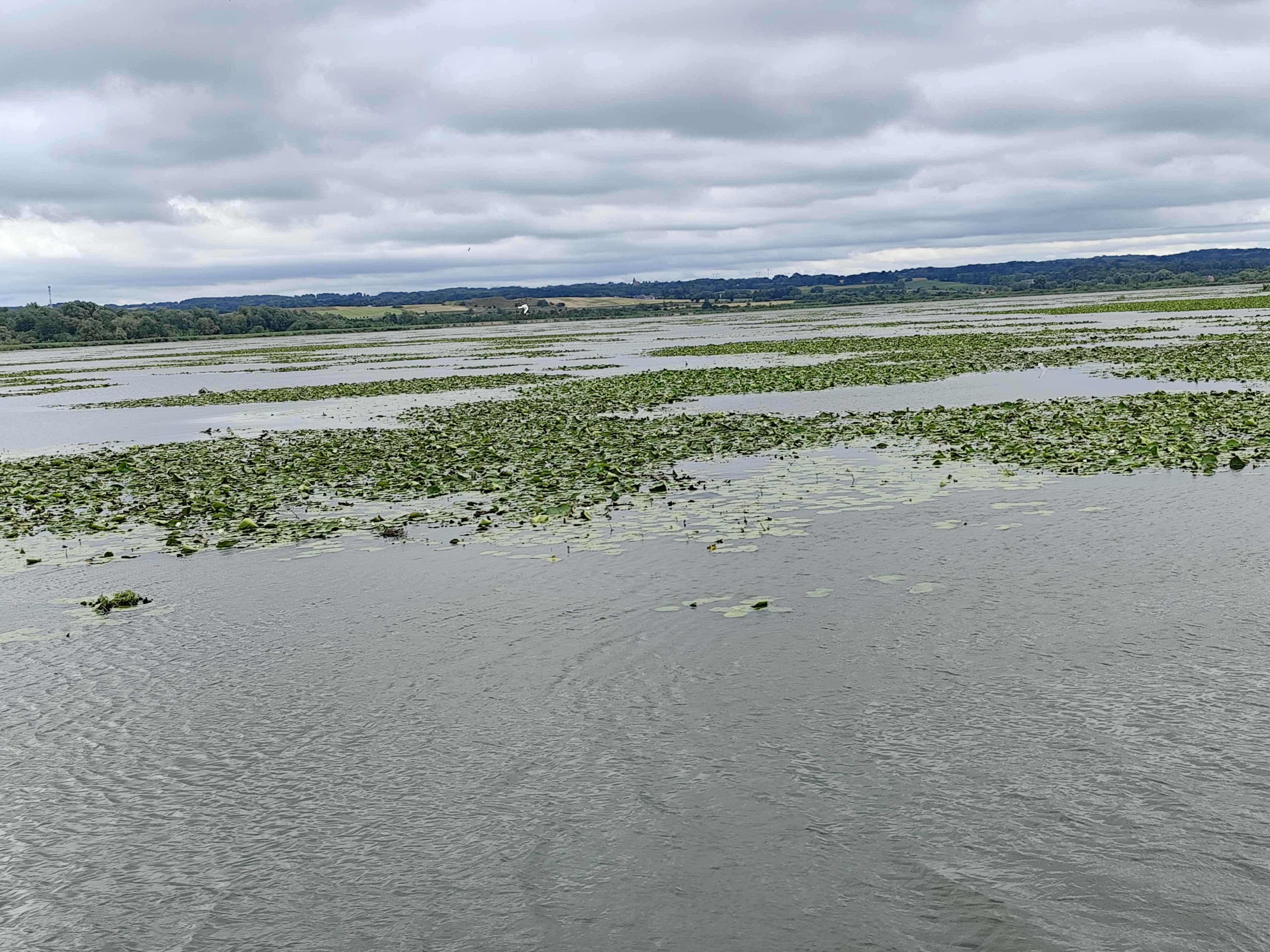 Wycieczka SNG KANAŁ ELBLASKI - REZERWAT Fot. Janusz Wikowski IMG_20250712_094532