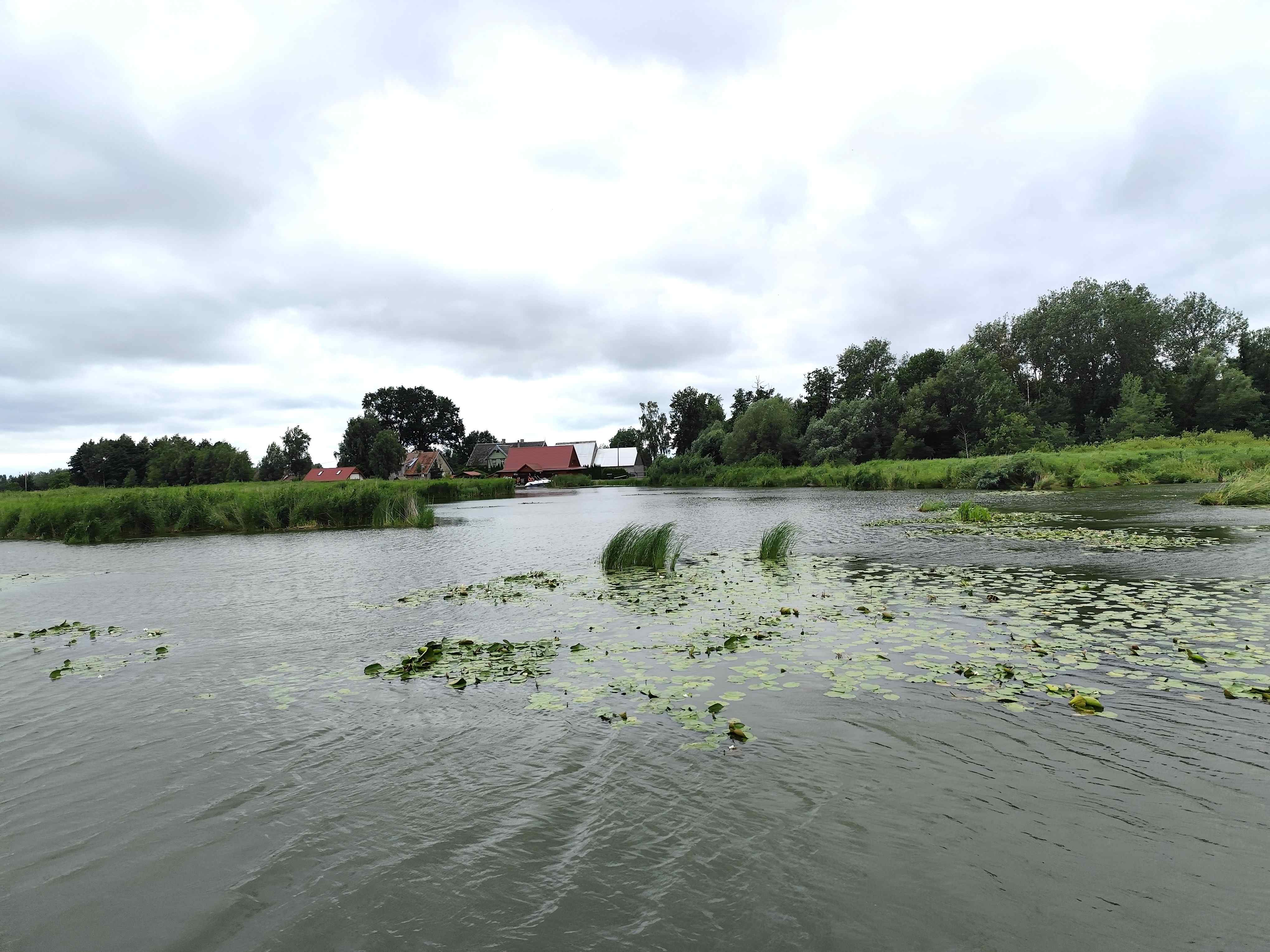 Wycieczka SNG KANAŁ ELBLASKI - REZERWAT Fot. Janusz Wikowski IMG_20250712_094623