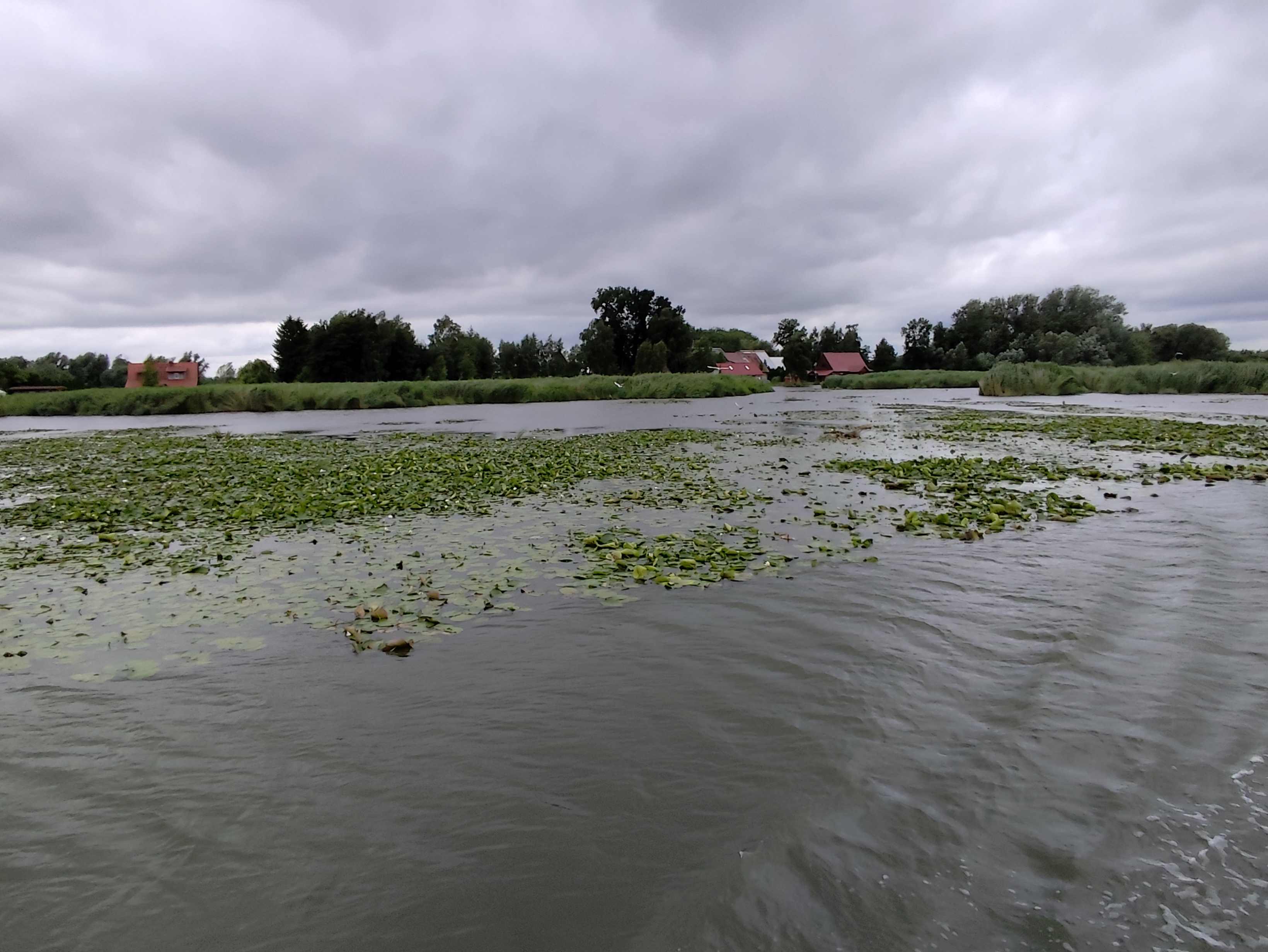 Wycieczka SNG KANAŁ ELBLASKI - REZERWAT Fot. Janusz Wikowski IMG_20250712_094757