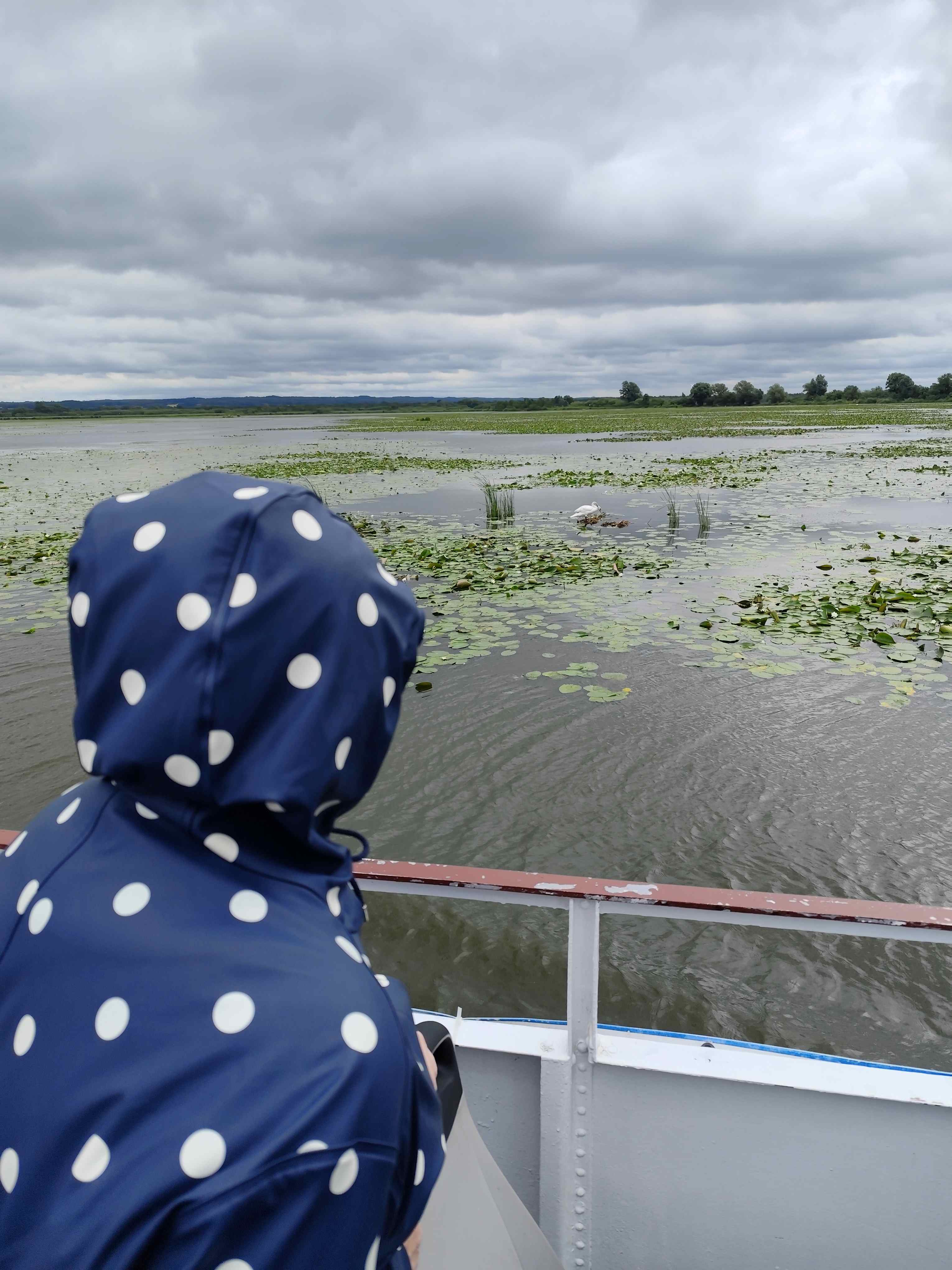 Wycieczka SNG KANAŁ ELBLASKI - REZERWAT Fot. Janusz Wikowski IMG_20250712_101103