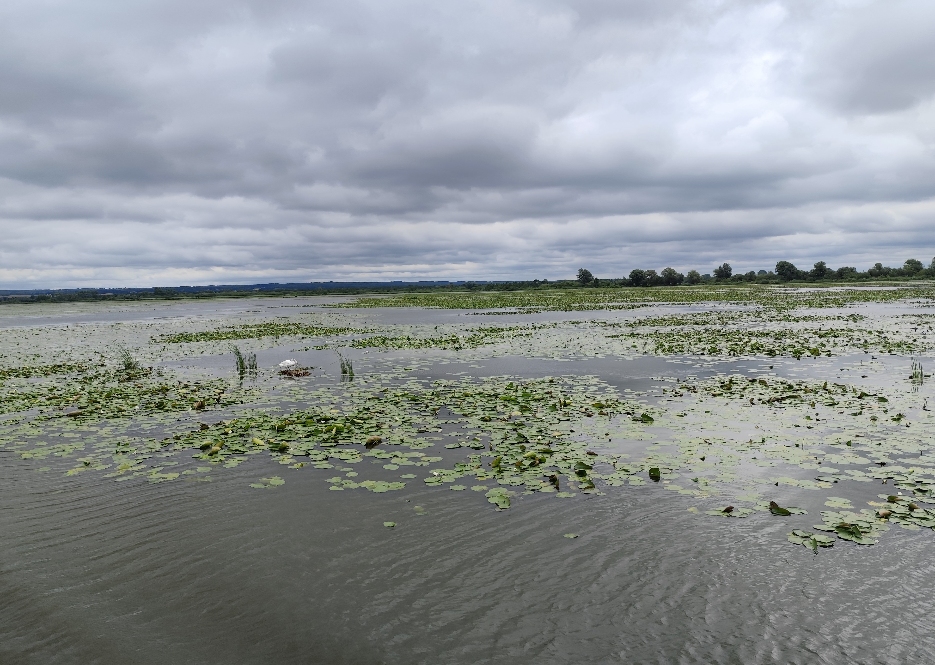 Wycieczka SNG KANAŁ ELBLASKI - REZERWAT Fot. Janusz Wikowski IMG_20250712_101107