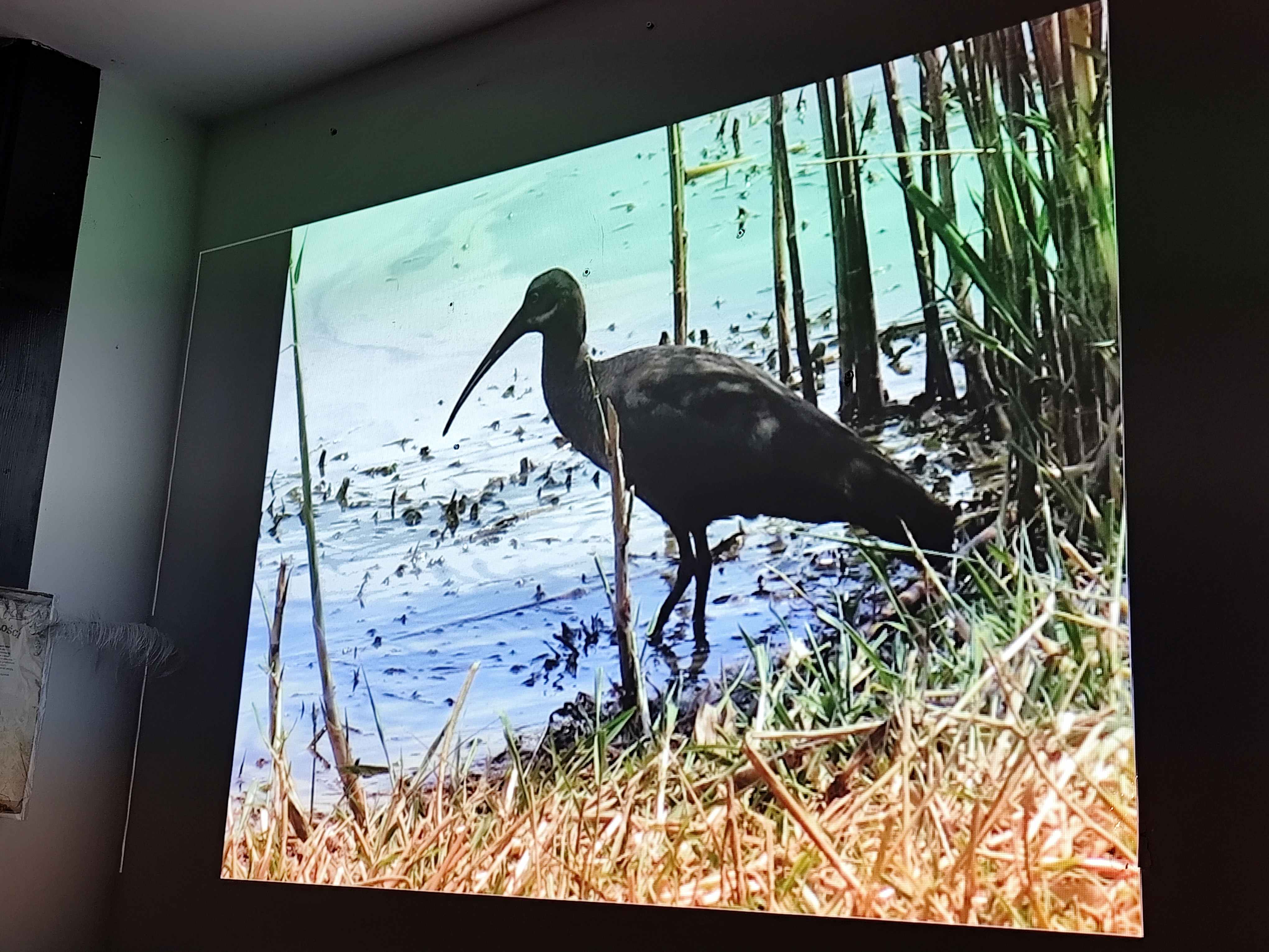 Spotkanie z podróżniczką dr Marią Giedz w Stowarzyszeniu Nasz Gdańsk. Fot_Janusz Wikowski IMG_20251121_184942