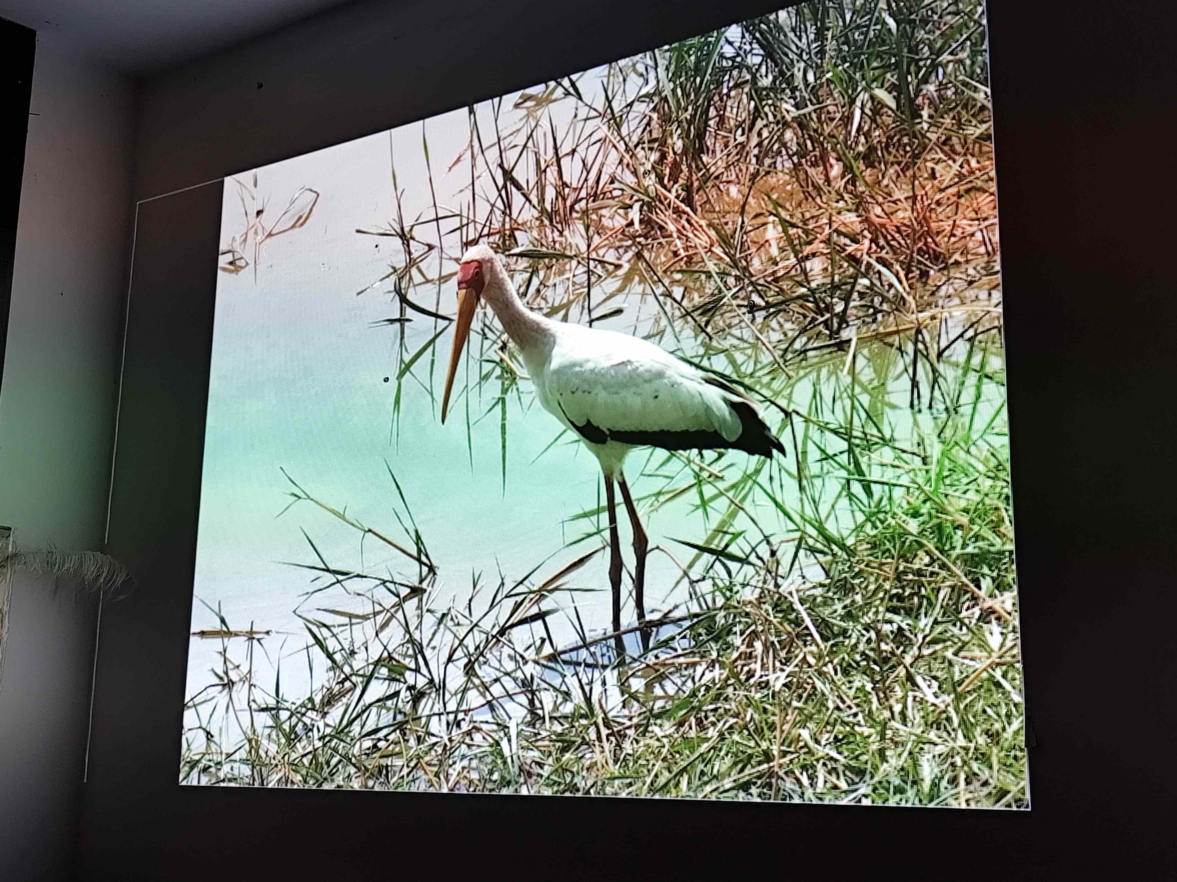 Spotkanie z podróżniczką dr Marią Giedz w Stowarzyszeniu Nasz Gdańsk. Fot_Janusz Wikowski IMG_20251121_185013