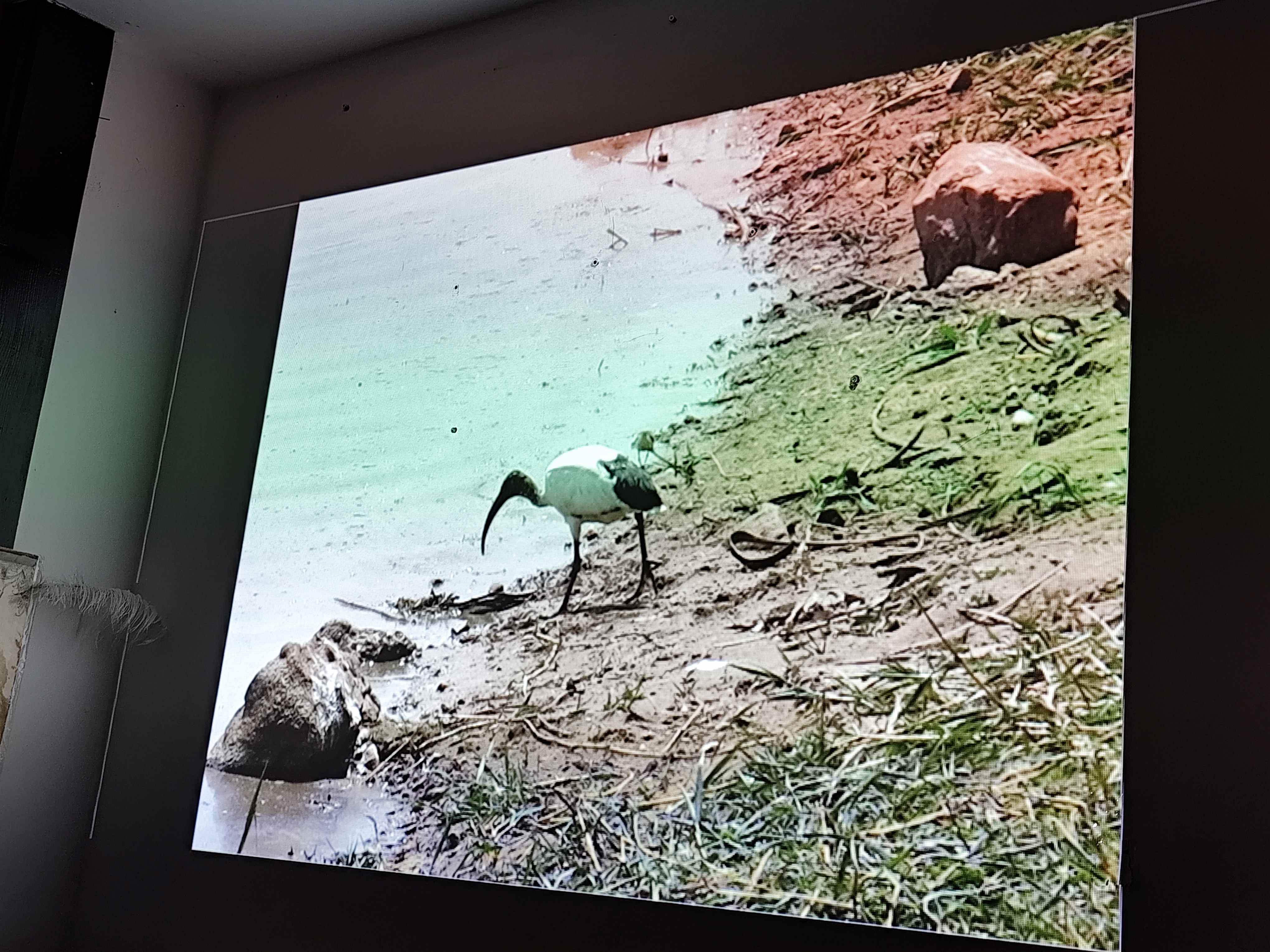 Spotkanie z podróżniczką dr Marią Giedz w Stowarzyszeniu Nasz Gdańsk. Fot_Janusz Wikowski IMG_20251121_185027