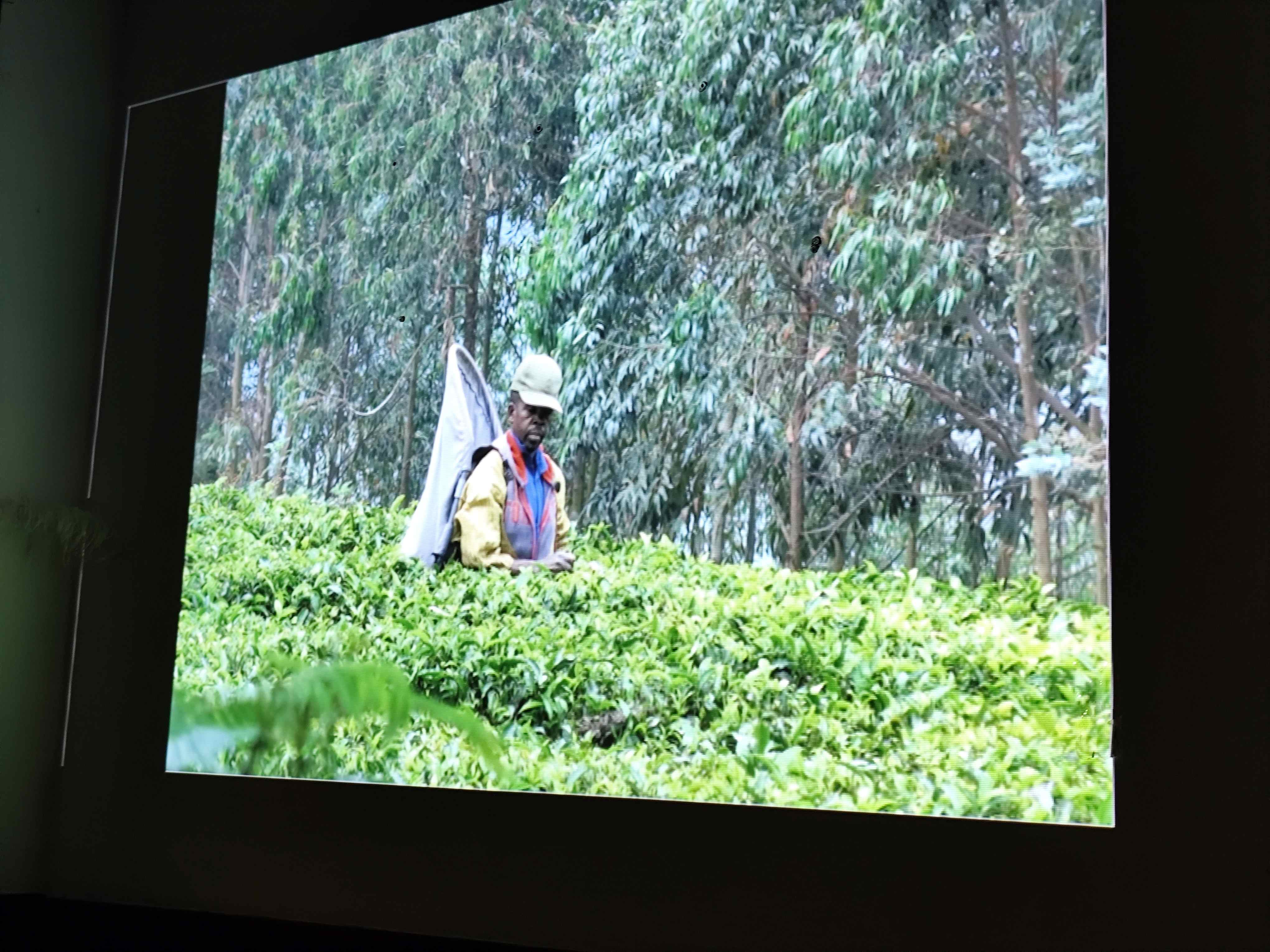 Spotkanie z podróżniczką dr Marią Giedz w Stowarzyszeniu Nasz Gdańsk. Fot_Janusz Wikowski IMG_20251121_191759