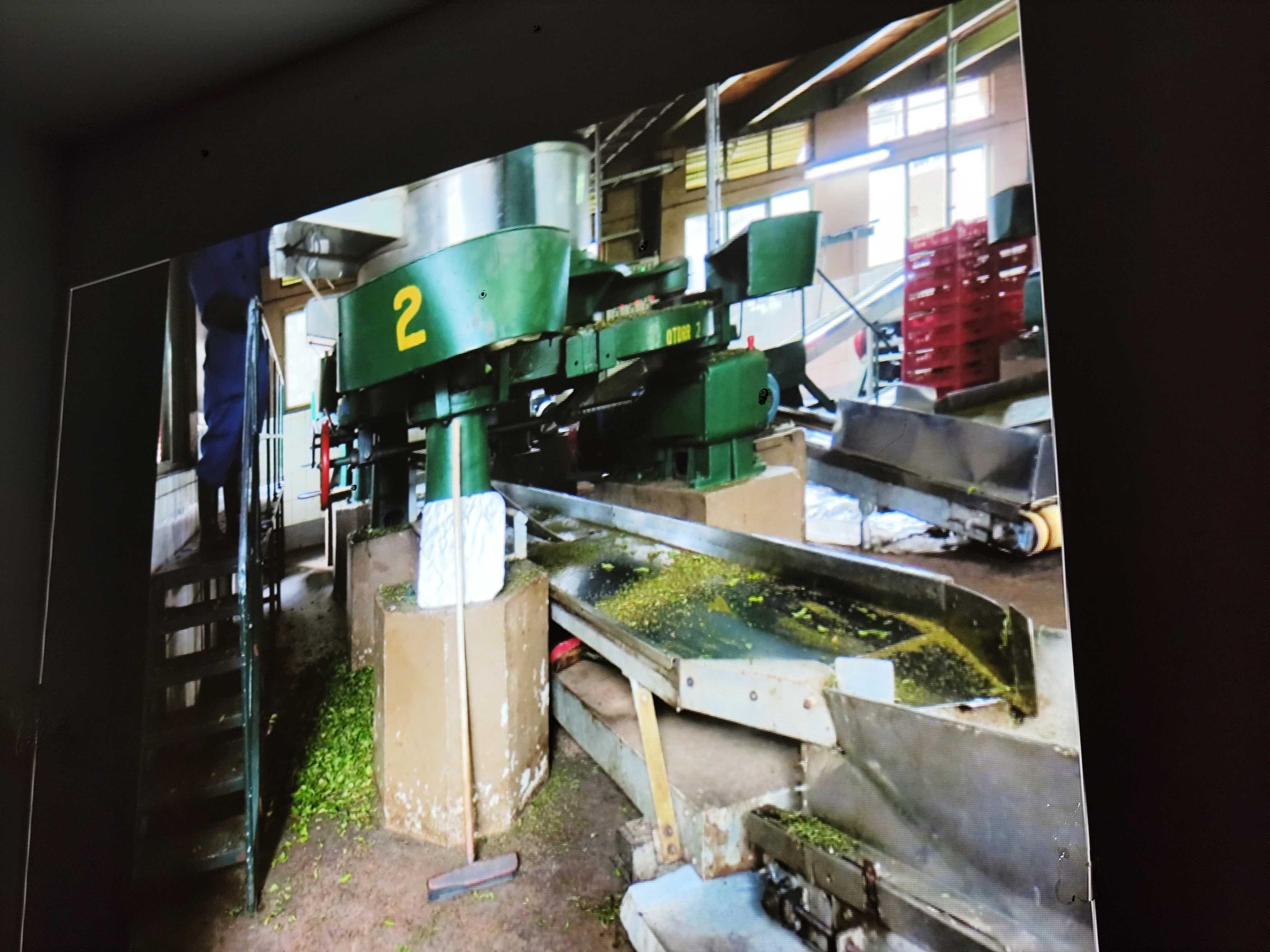 Spotkanie z podróżniczką dr Marią Giedz w Stowarzyszeniu Nasz Gdańsk. Fot_Janusz Wikowski IMG_20251121_191831