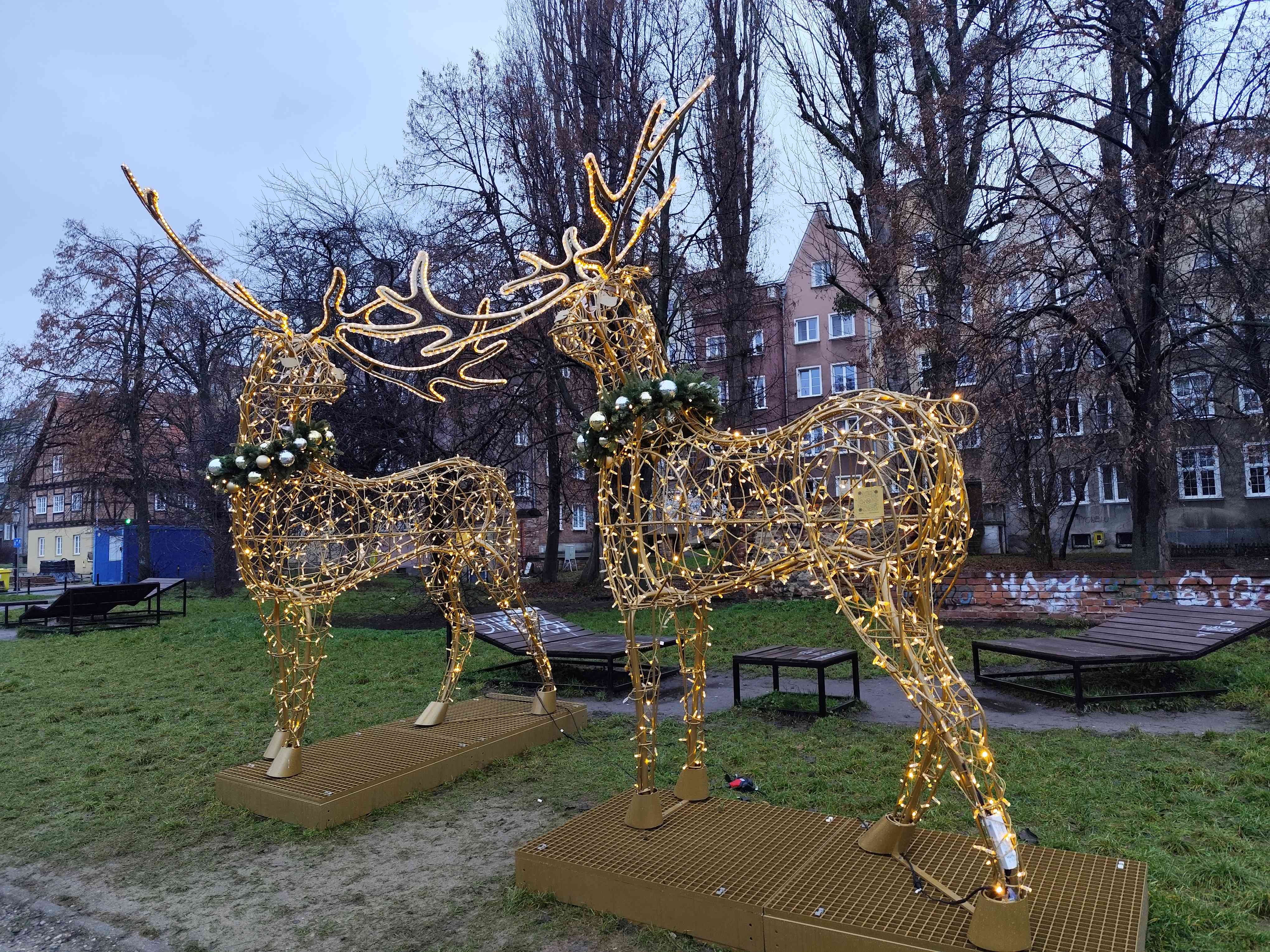 JARMARK BOZONARODZENIOWY GDANSK fot. Janusz Wikowski IMG_20251220_095703