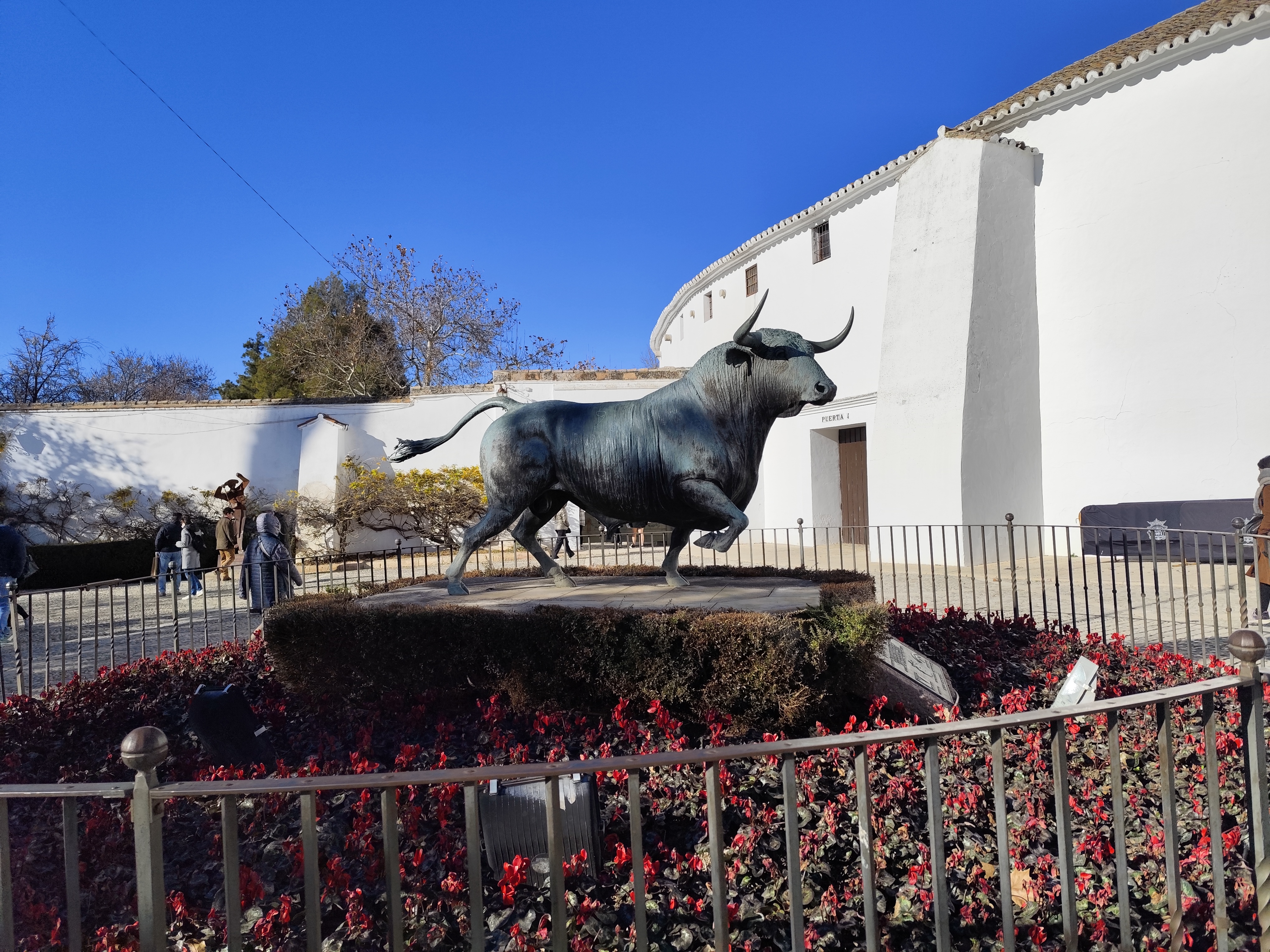 arena byk IMG_20260106_154715